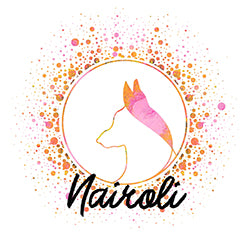 Logo de l'entreprise Nairoli